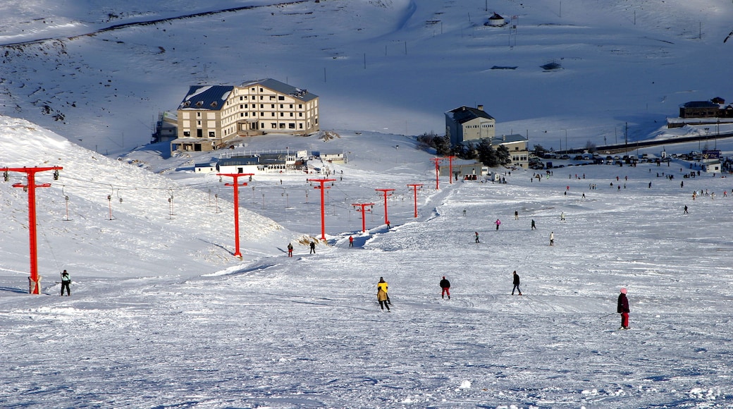 People skiing at Mount Erciyes ski area in Kayseri, Turkey. Mount Erciyes ski area is one of the longest slope in Turkey.