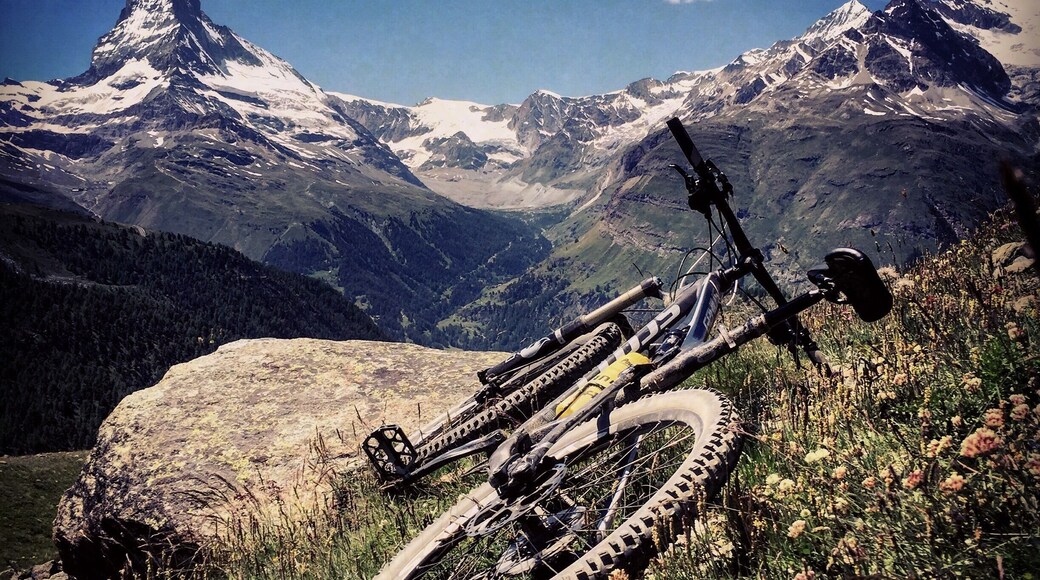 Grab your bike and cycle up to Sunnegga. From there you can take the (new) bike trail back to the village or carry on towards Grünsee (passing a few pretty lakes on the way). All while marvelling at the amazing Matterhorn! Enjoy the ride!
#bikezermatt #matterhorn #bikeparadise #lifeatexpedia