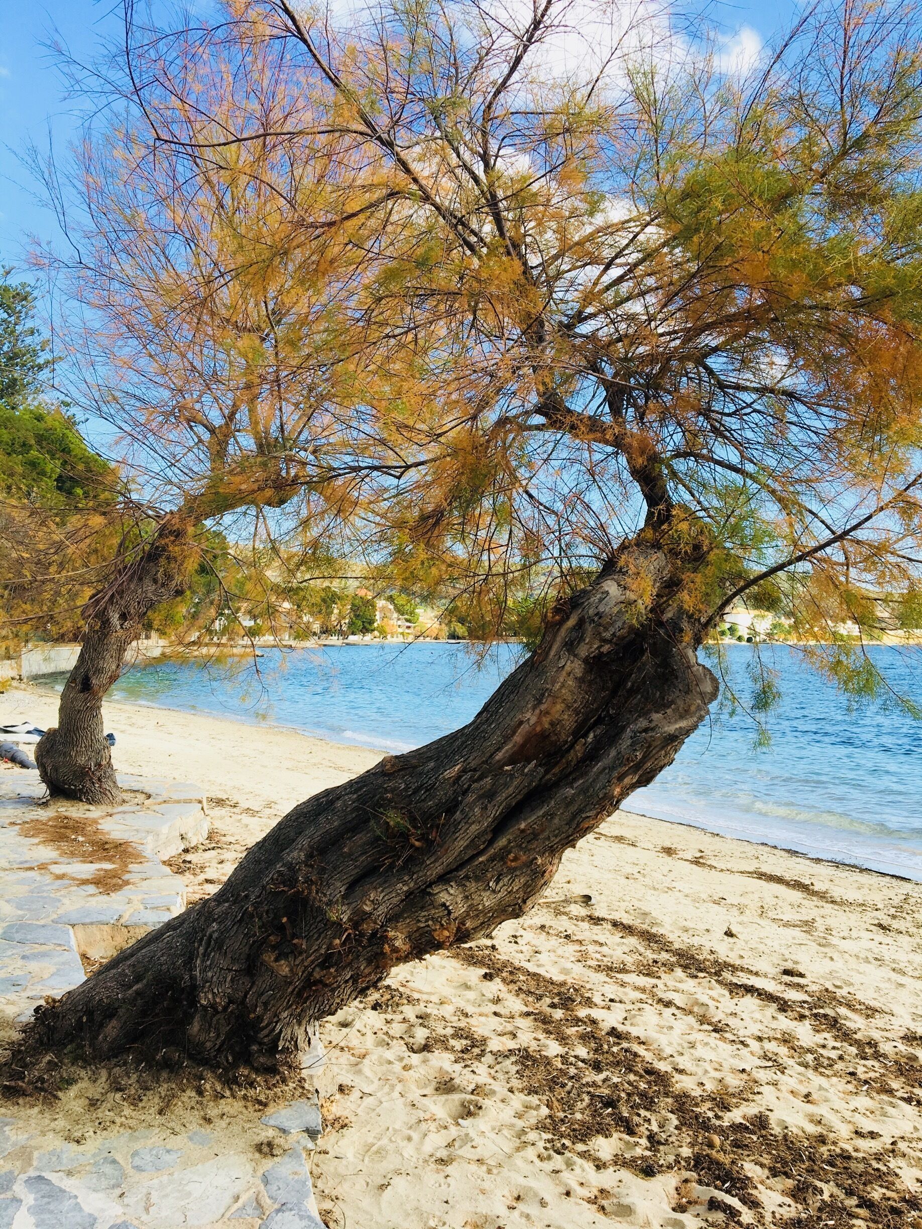 Off season beach stroll