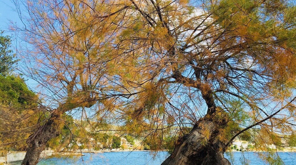 Off season beach stroll