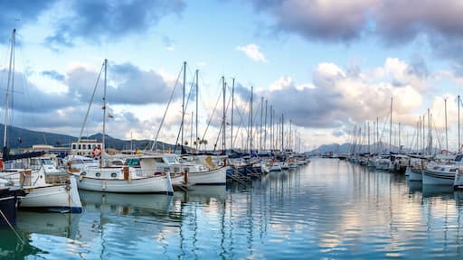Port de Pollenca marina with sailing boats sailboats on Mallorca travel traveling holidays vacation panorama in Spain