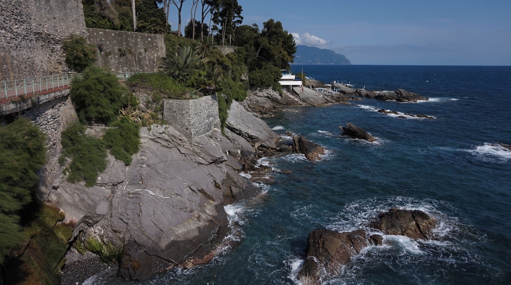 Coast, Nervi.
