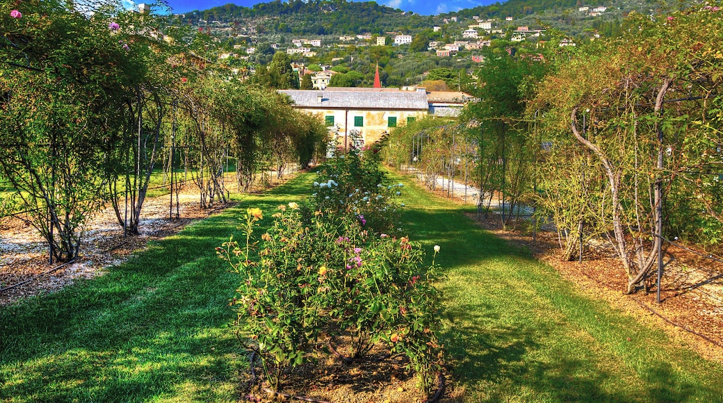 This is a photo of a monument which is part of cultural heritage of Italy. This monument participates in the contest Wiki Loves Monuments Italia 2014. See authorisations.