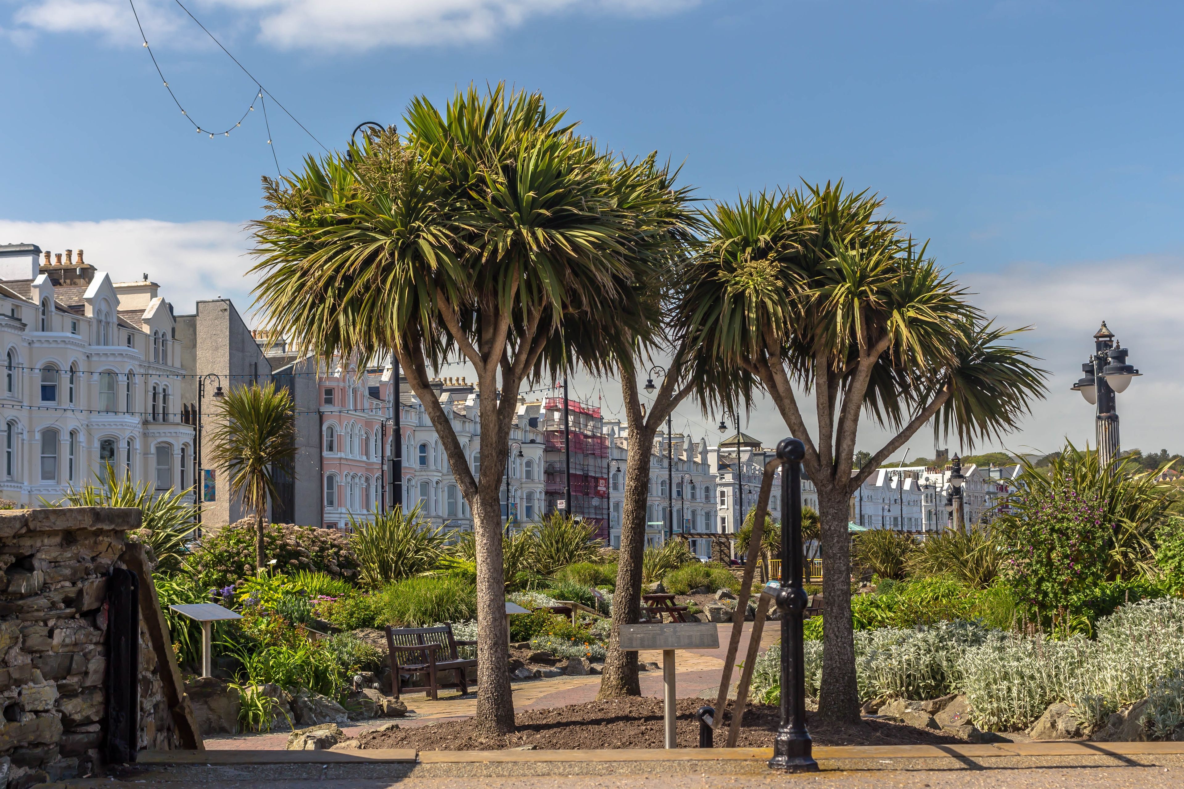 Douglas