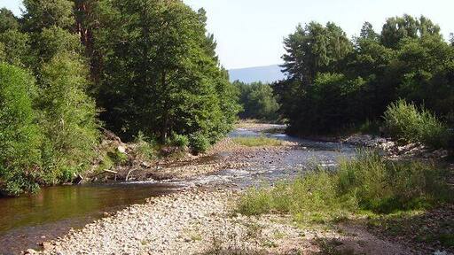 River Druie. Drains Glen More, when the skiers have finished with it, the snow ends up here. Taken from Inverdruie, near its confluence with the Spey.
