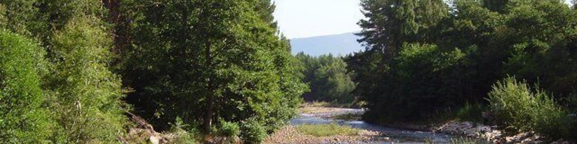 River Druie. Drains Glen More, when the skiers have finished with it, the snow ends up here. Taken from Inverdruie, near its confluence with the Spey.