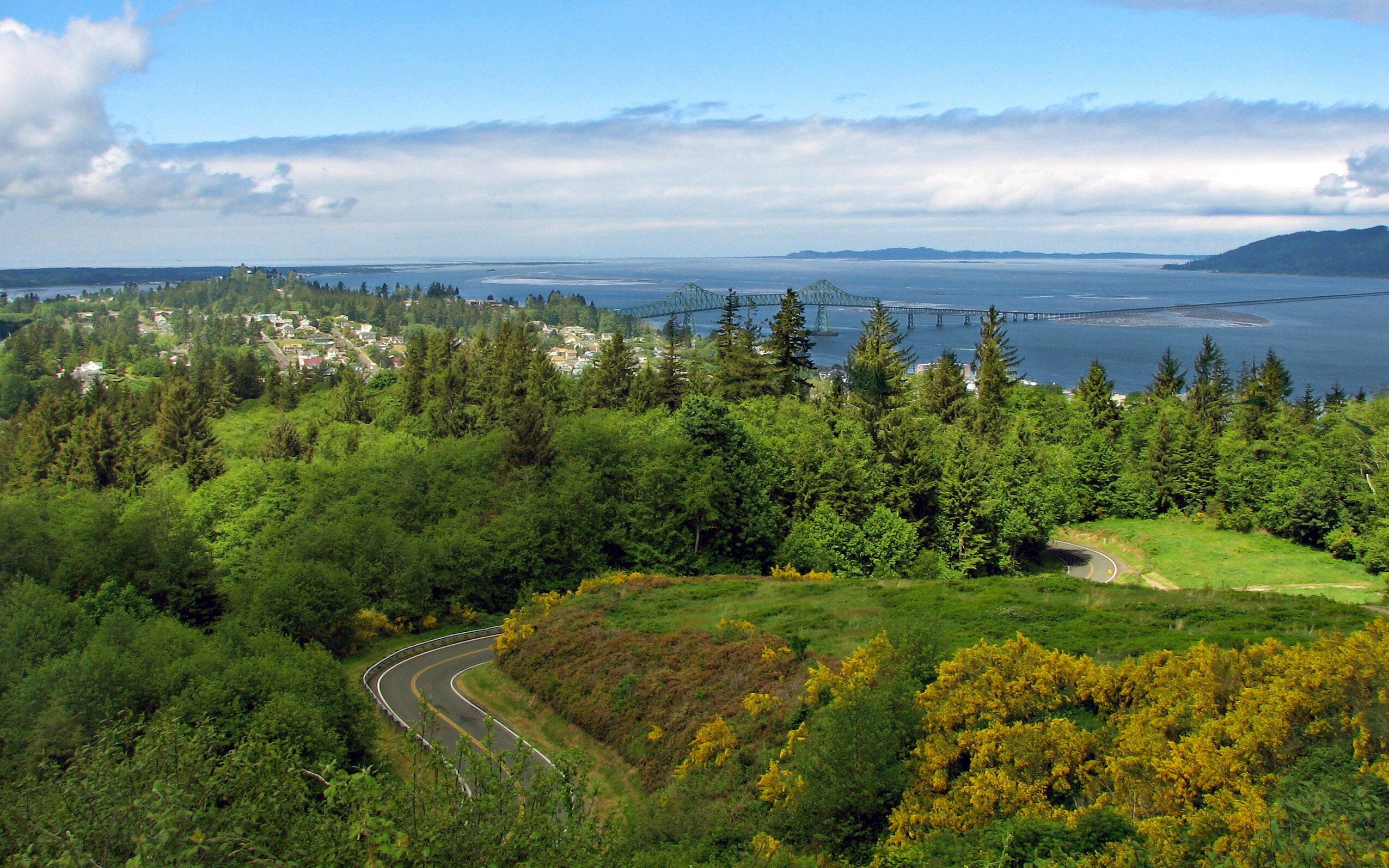 A coastal landscape with a bridge, dense forest, and a winding road.
