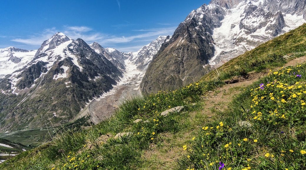 View of the Massif du Mont Blanc en route to Col Chercroui on the Tour du Mont Blanc. This section of the trail offers some of the best unobstructed views of the entire circuit.