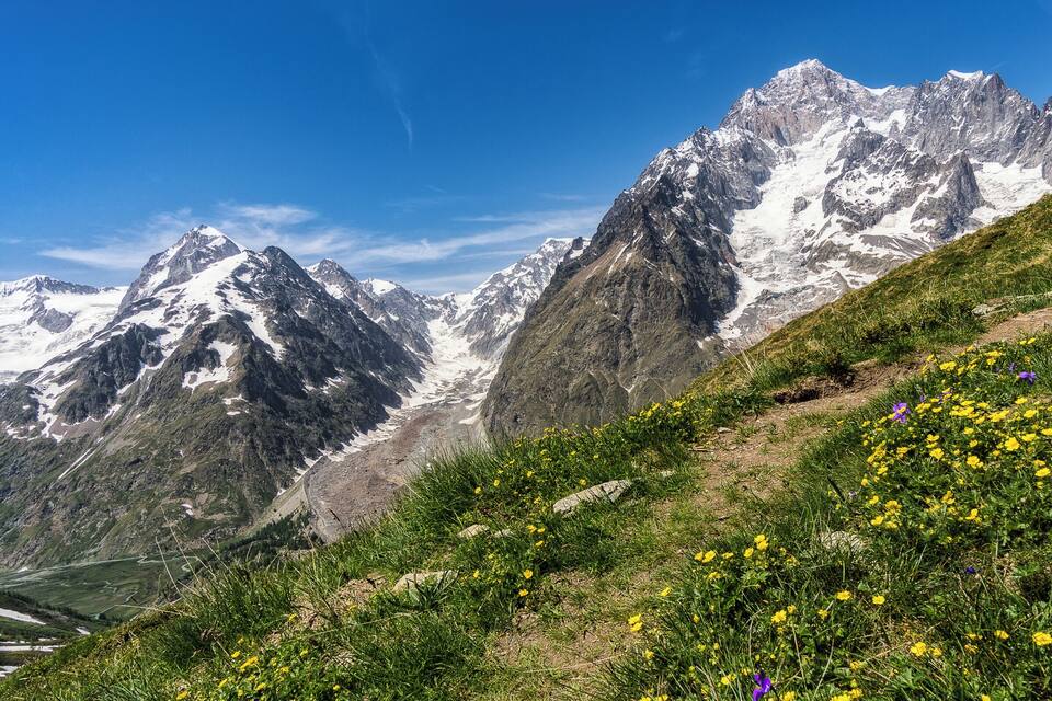 Paisatge de muntanya amb cims nevats, una vall i flors silvestres.