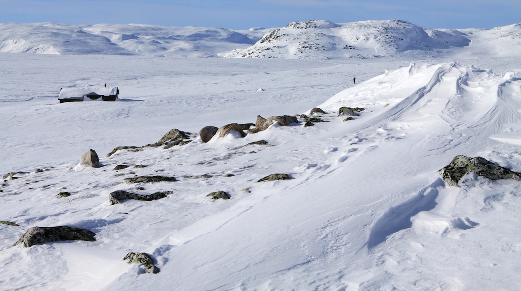 EHJPM4 winter in Hovden, Norway. Image shot 03/2013. Exact date unknown.