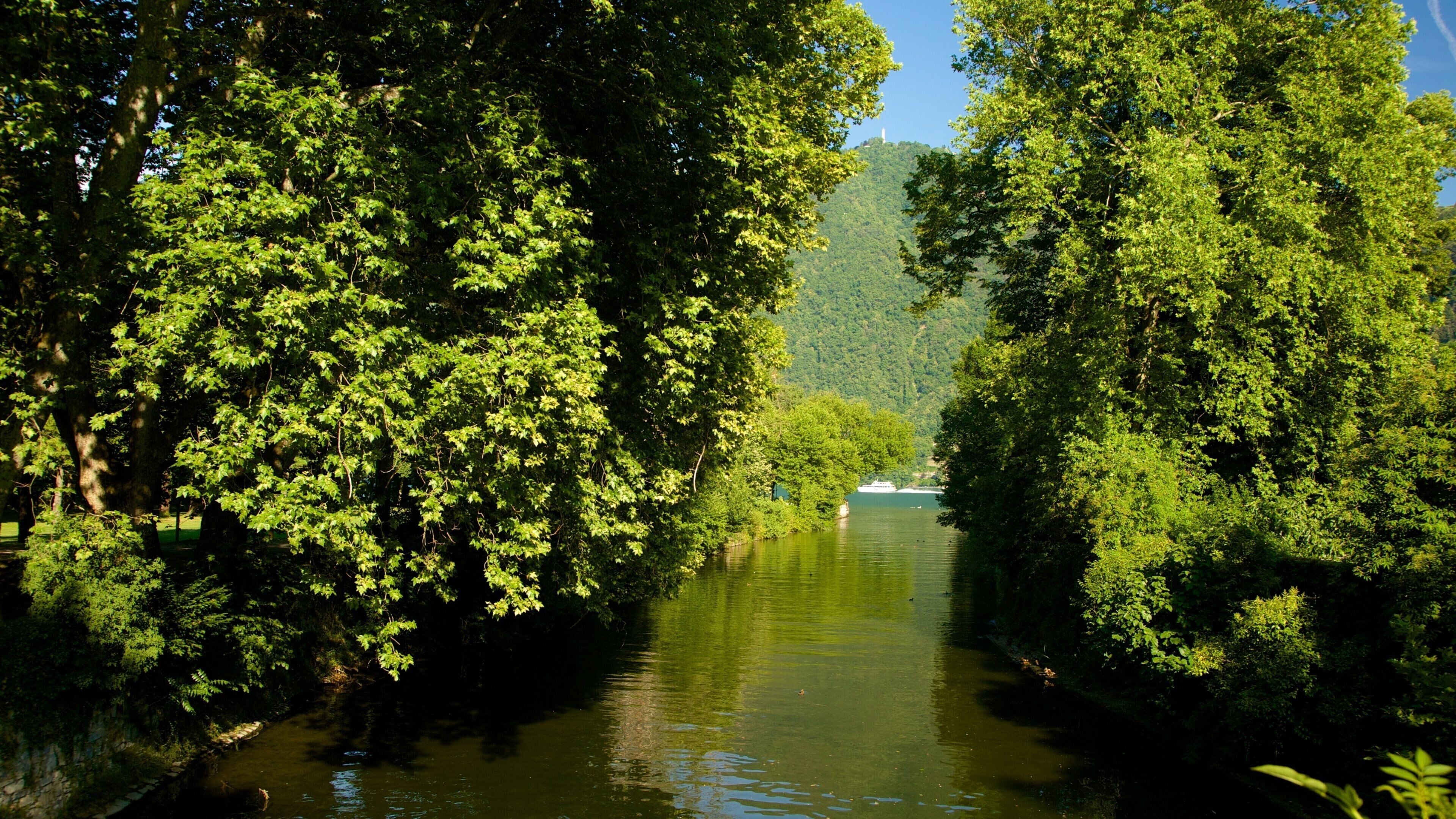 Cernobbio showing wetlands, a river or creek and a lake or waterhole