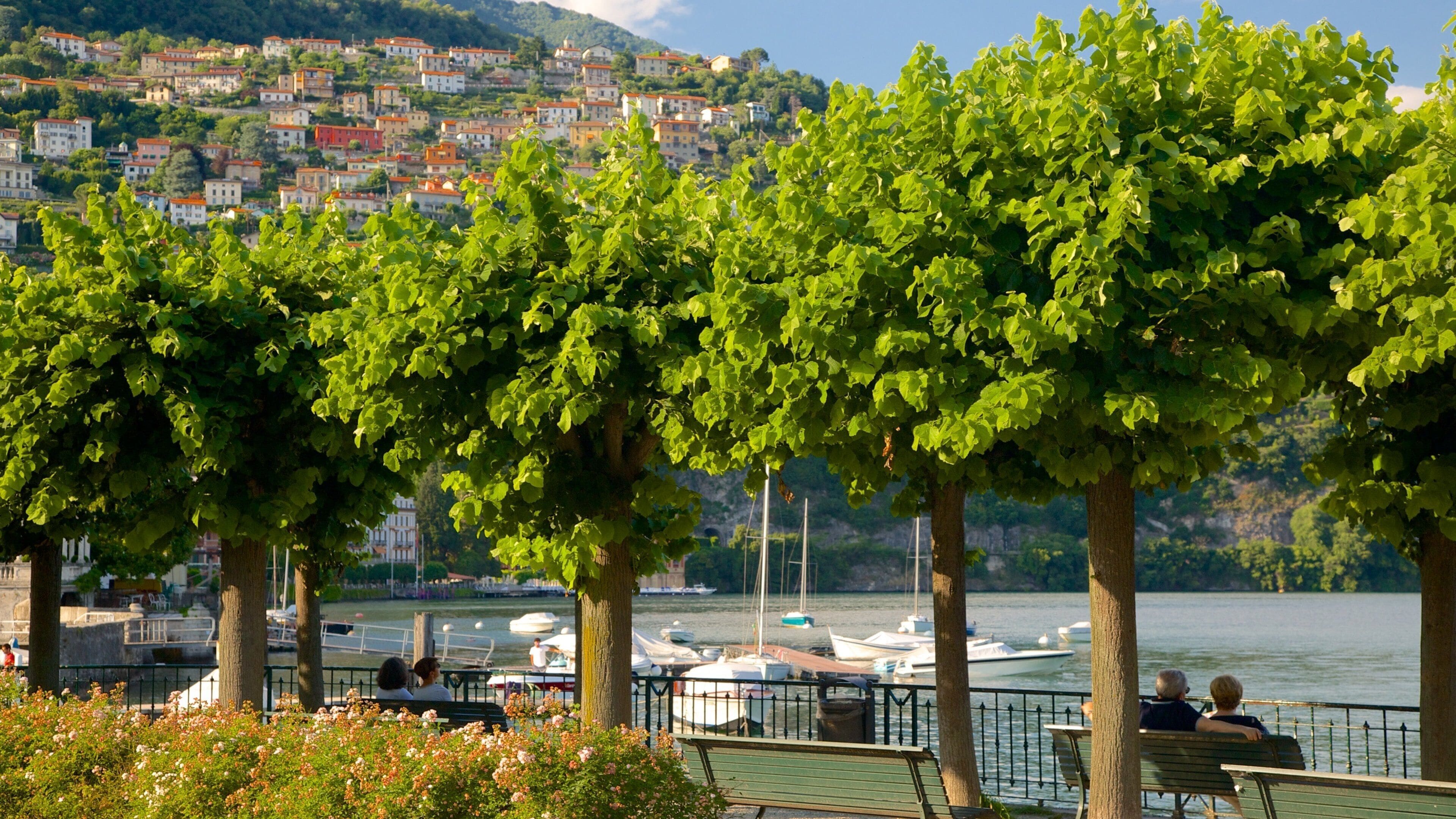 Cernobbio showing a coastal town, a bay or harbour and general coastal views