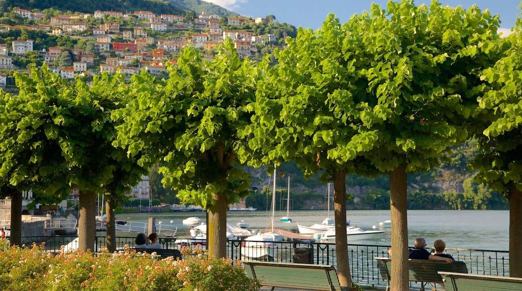 Cernobbio showing a coastal town, a bay or harbour and general coastal views