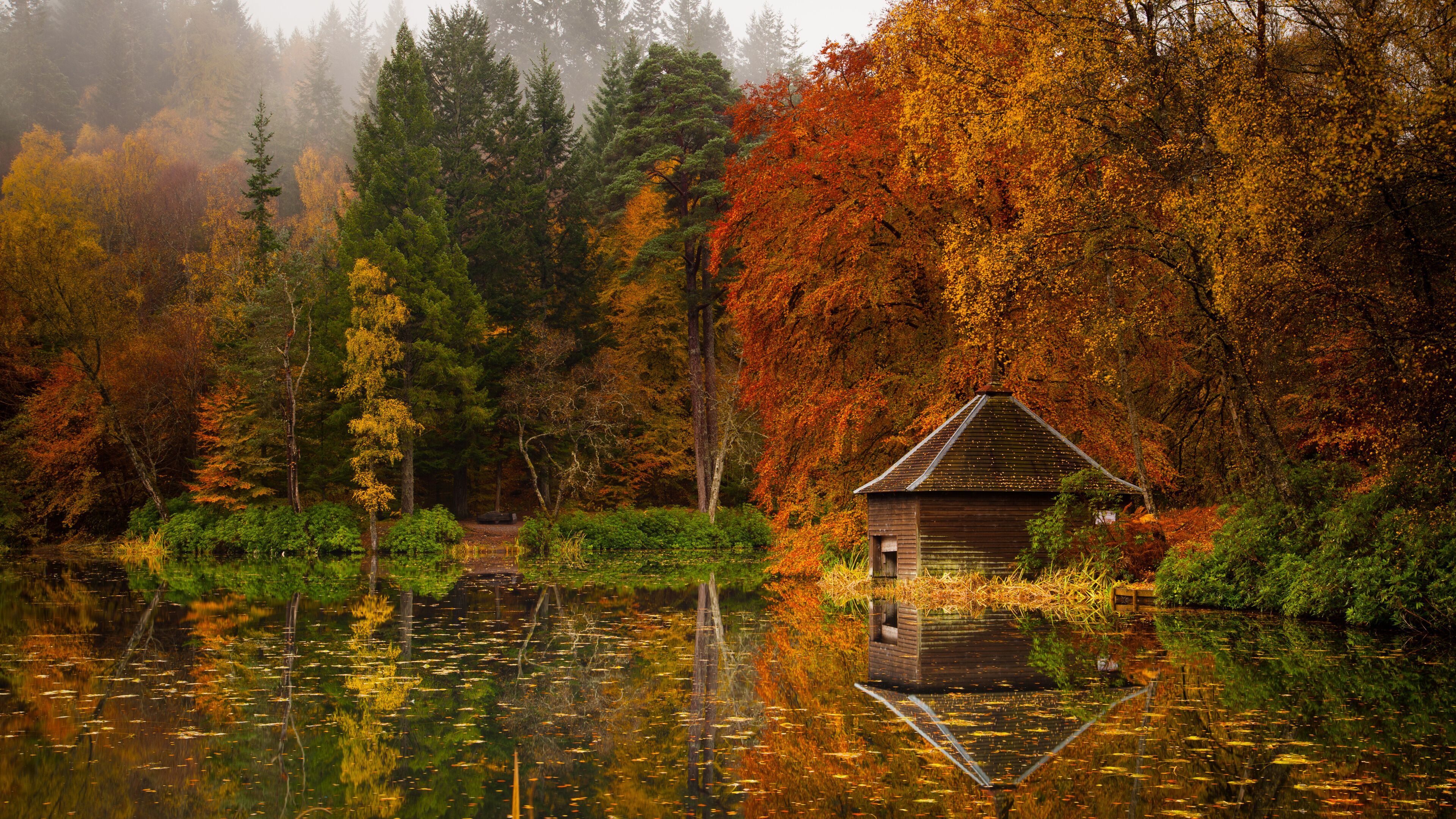 A wooden cabin surrounded by autumn-colored trees and a reflective pond.