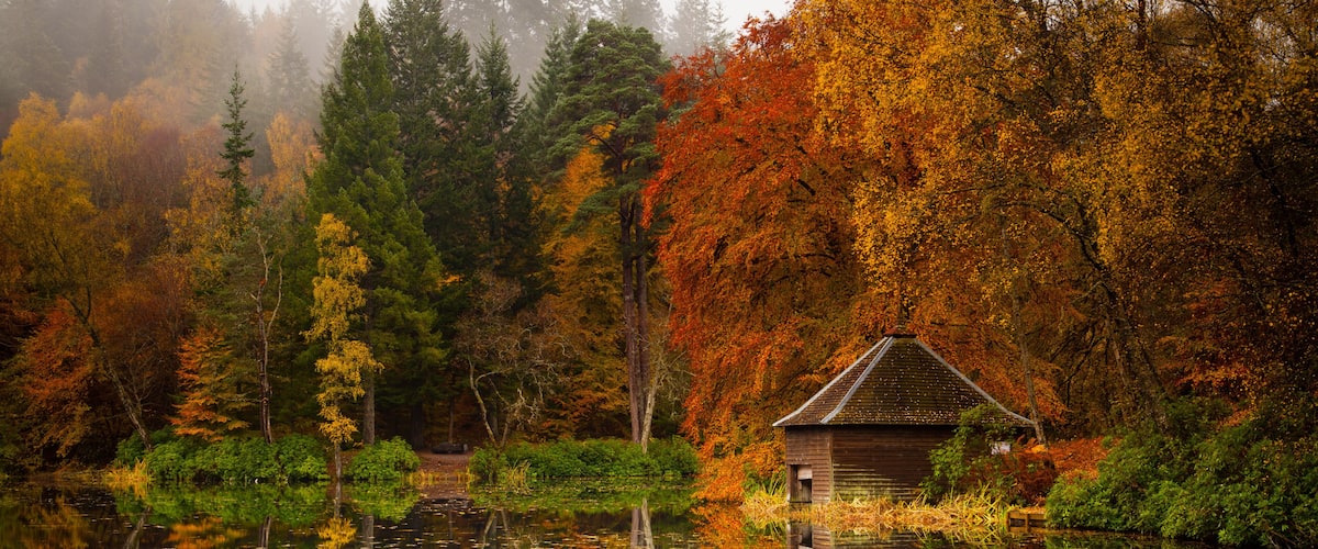 A wooden cabin surrounded by autumn-colored trees and a reflective pond.