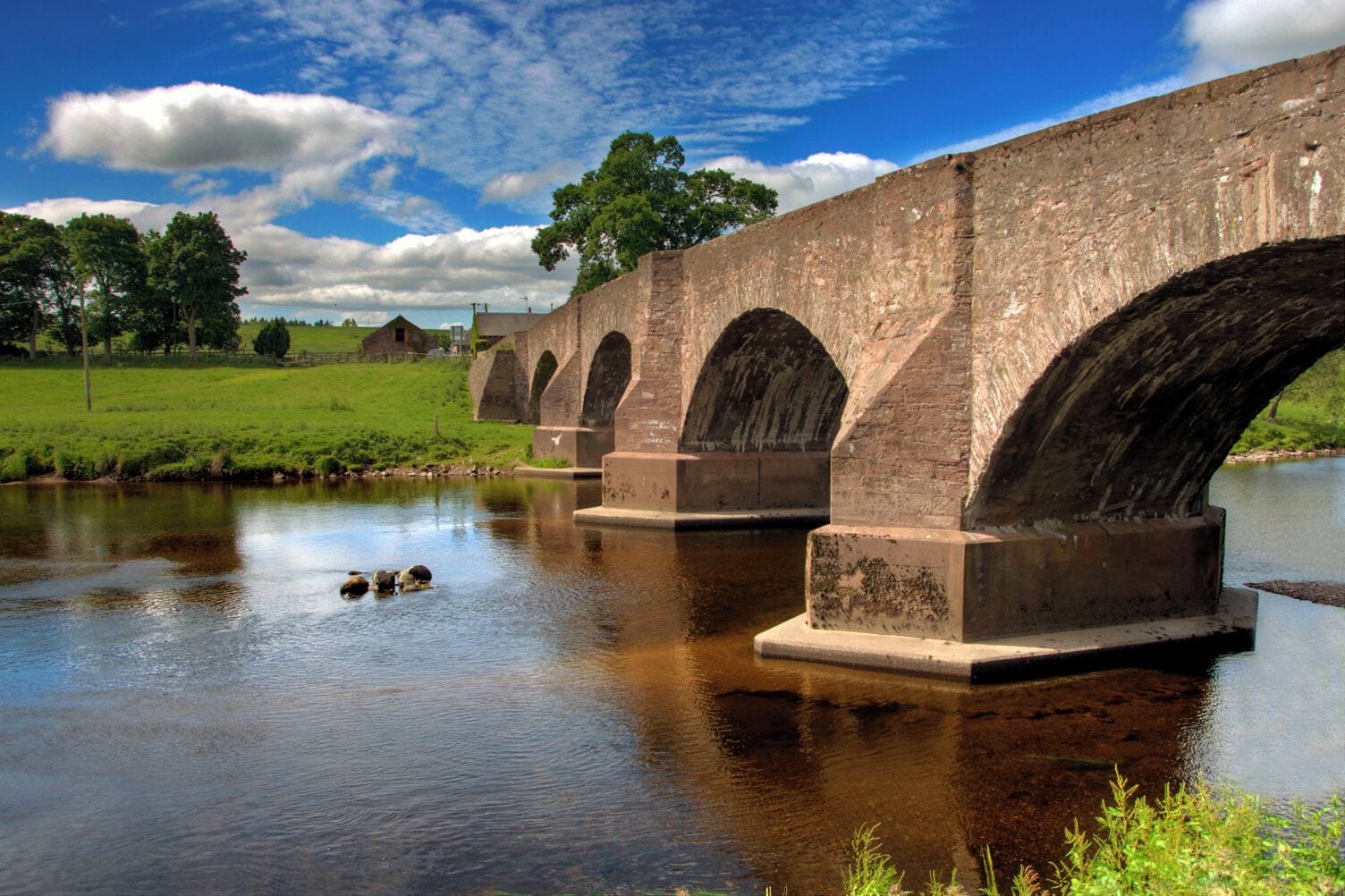 A stone bridge over a calm river with ducks swimming.