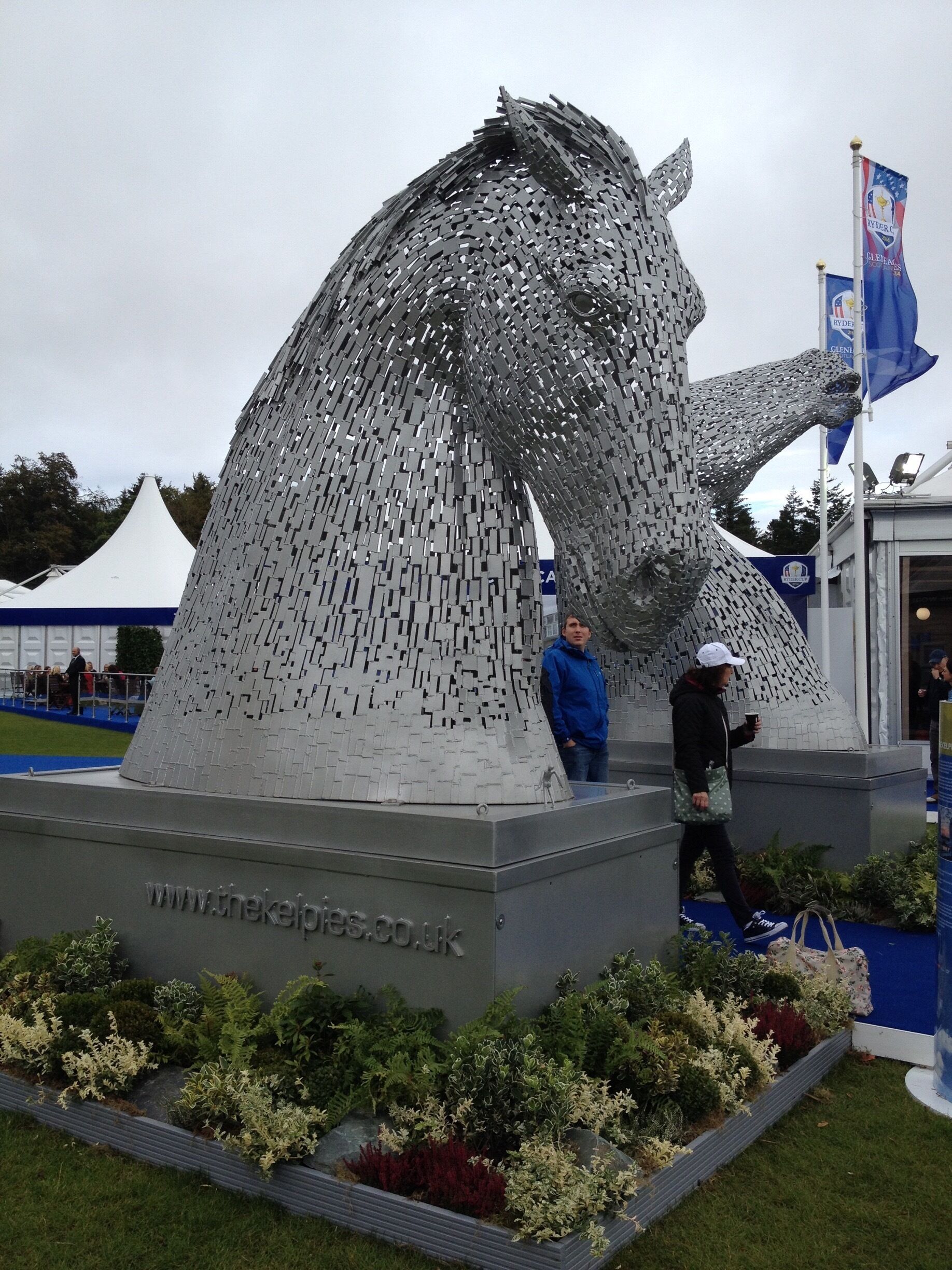 Mini kelpies 