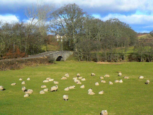 A green field with sheep, a stone bridge, and trees.