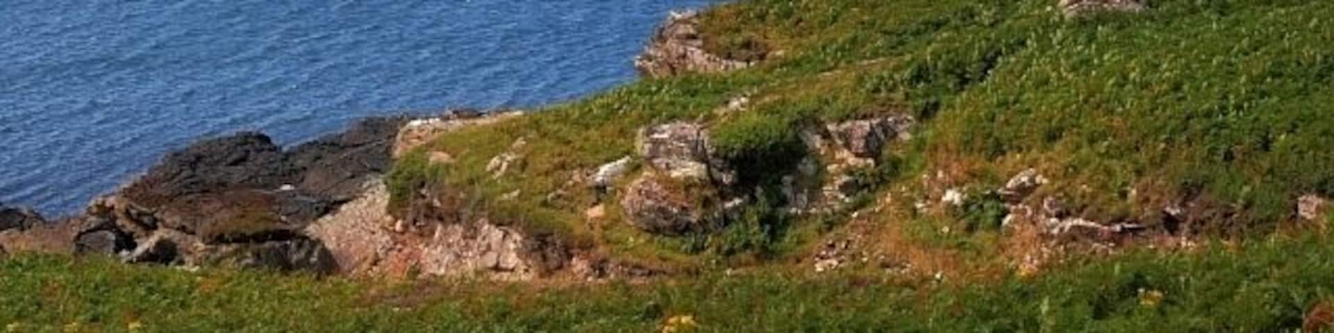 Eilean Mullagrach from Altandhu, near to Altandhu, Highland, Great Britain. Taken from the road junction to Reiff.