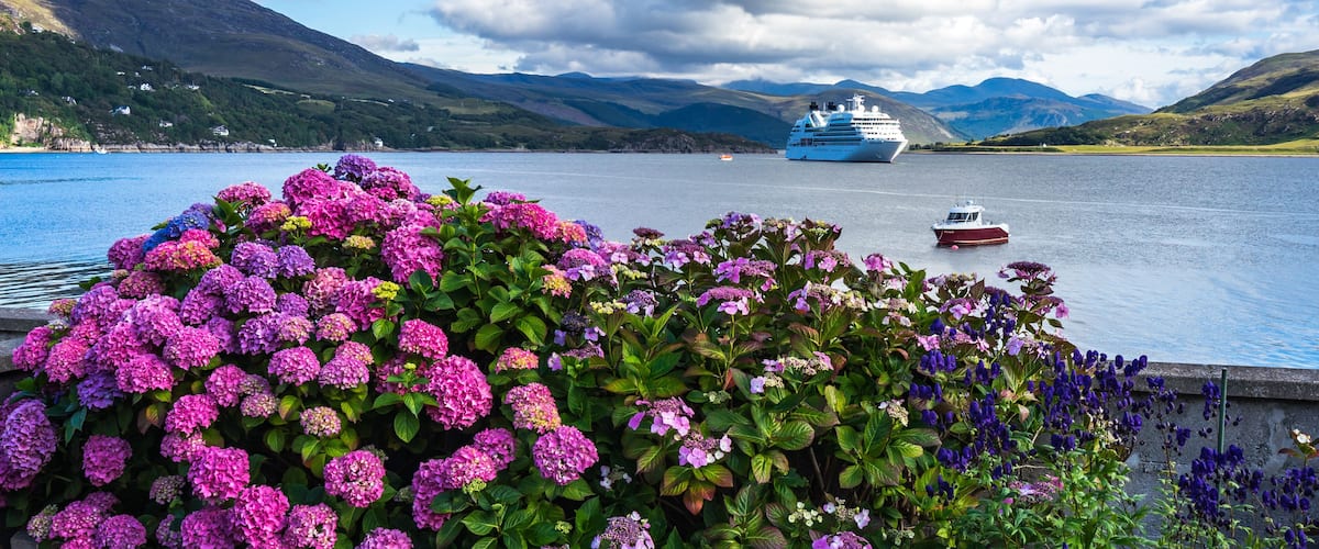 A cruise ship on a calm lake with mountains in the background and vibrant purple hydrangeas in the foreground.