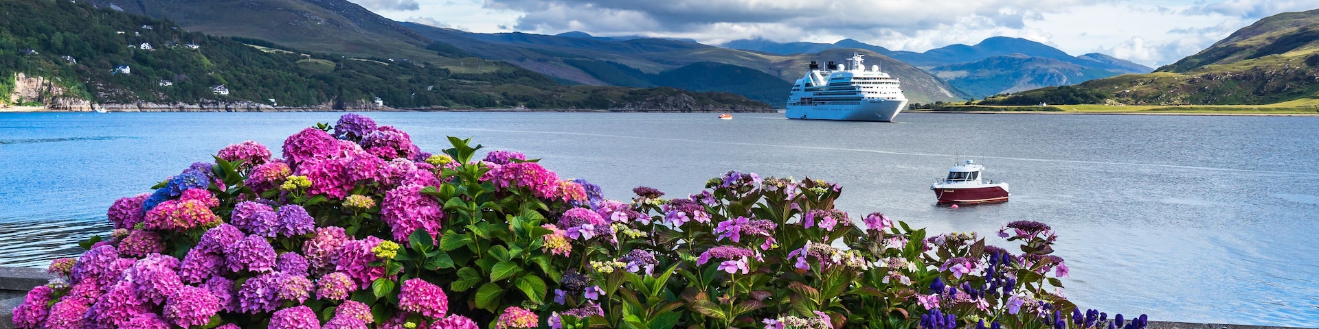 A cruise ship on a calm lake with mountains in the background and vibrant purple hydrangeas in the foreground.