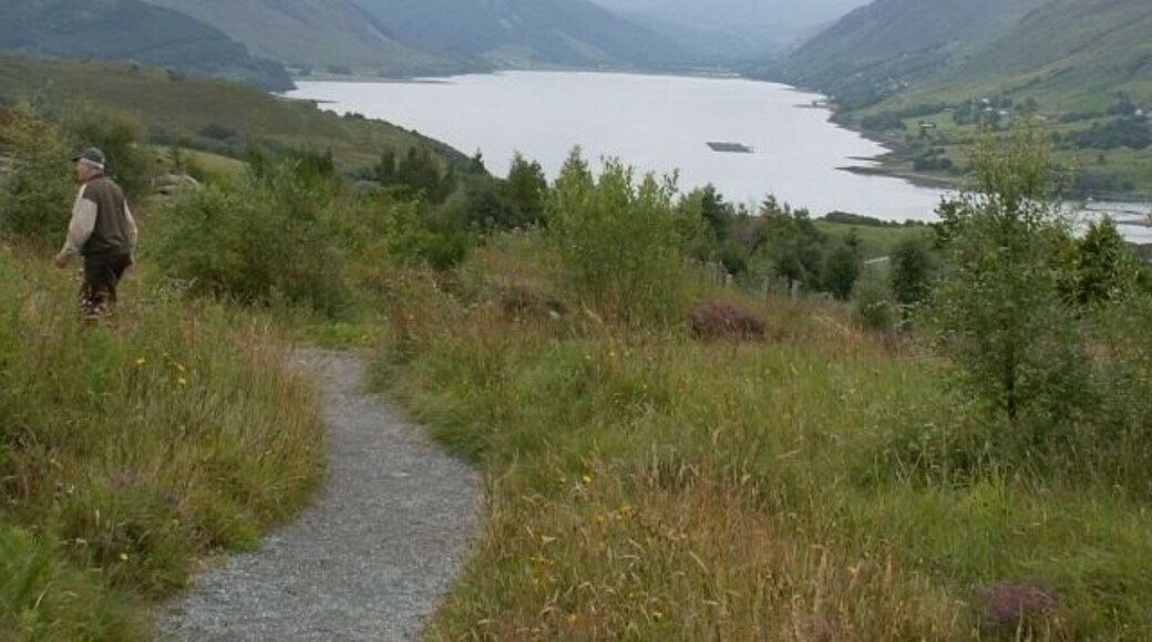 Braes of Ullapool. Just to the SE of Ullapool the Braes of Ullapool provide a convenient spot to view the full length of Lochbroom and Ullapool. A small well kept nature trail winds its way around the area but it won't be long before the trees obscure the fine views.