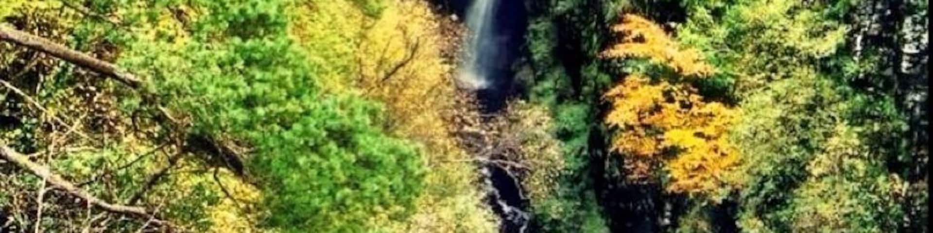 A waterfall surrounded by dense forest with autumn foliage.