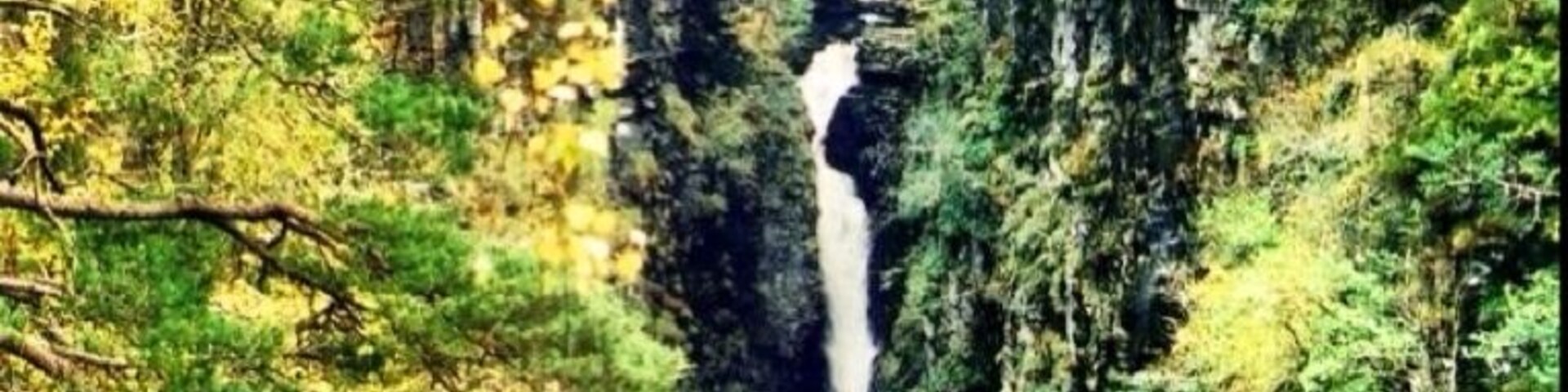 Corrieshalloch Gorge shows the formidable forces of nature at their most impressive. It is a slot gorge, or box-canyon, cut by glacial meltwater between 2.6 million and 11,500 years ago. Through its narrow and steep-sided length flows the water of the River Droma, dropping 100m over the course of its 1.25km journey in a series of waterfalls, the most dramatic of which is the 45m Falls of Measach.
For many, the highlight of a visit is a walk across the bridge and the deep chasm below. Spanning just over 25m from ledge to ledge the bridge sways gently in the wind, providing an exhilarating experience!
It was built in 1874 by Sir John Fowler, one of the designers of the famous Forth Rail Bridge.