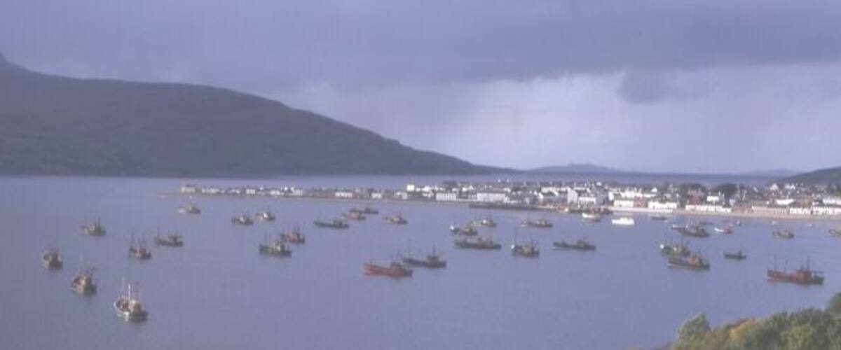 A coastal town with numerous boats in the water and a hilly landscape in the background.