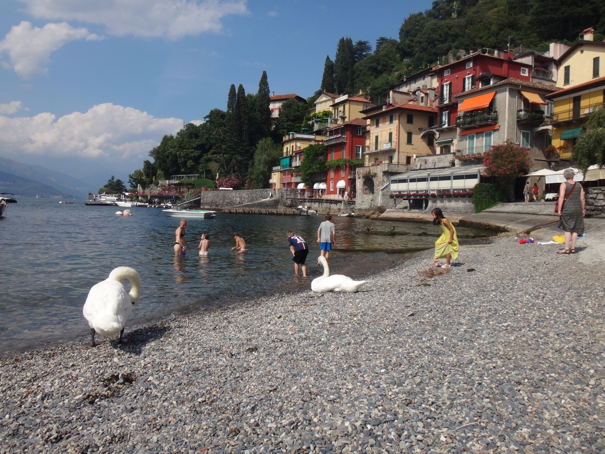 A pebbled beach with people and swans, surrounded by colorful buildings and boats on the water.