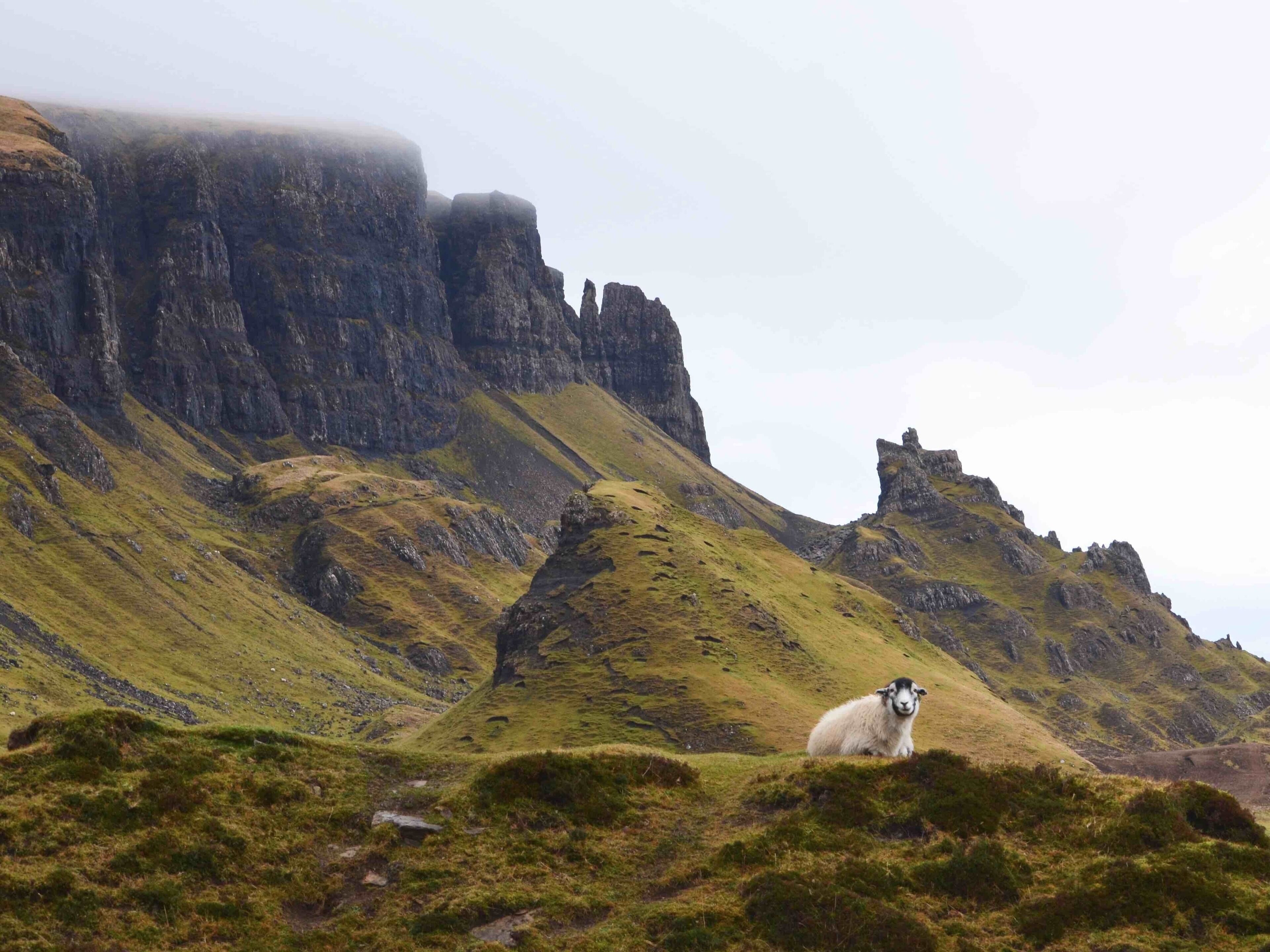 I was the only person there along with this sheep which just sat watching me.