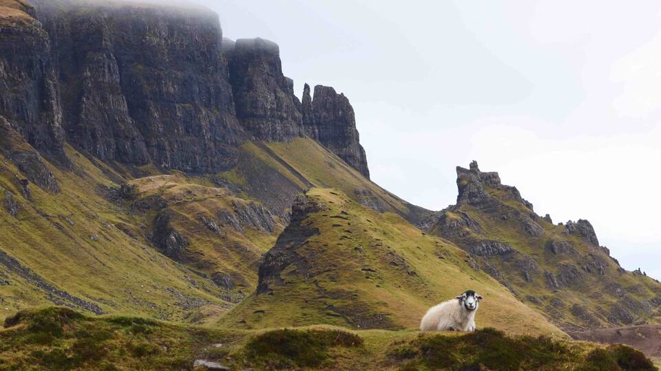 I was the only person there along with this sheep which just sat watching me.