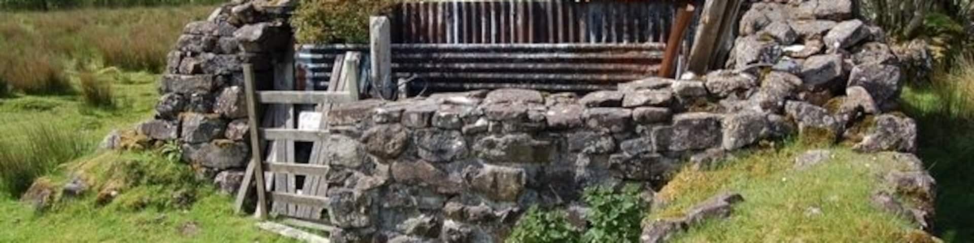 Ruin at Camastianavaig An old building now providing shelter for rowans and brambles.