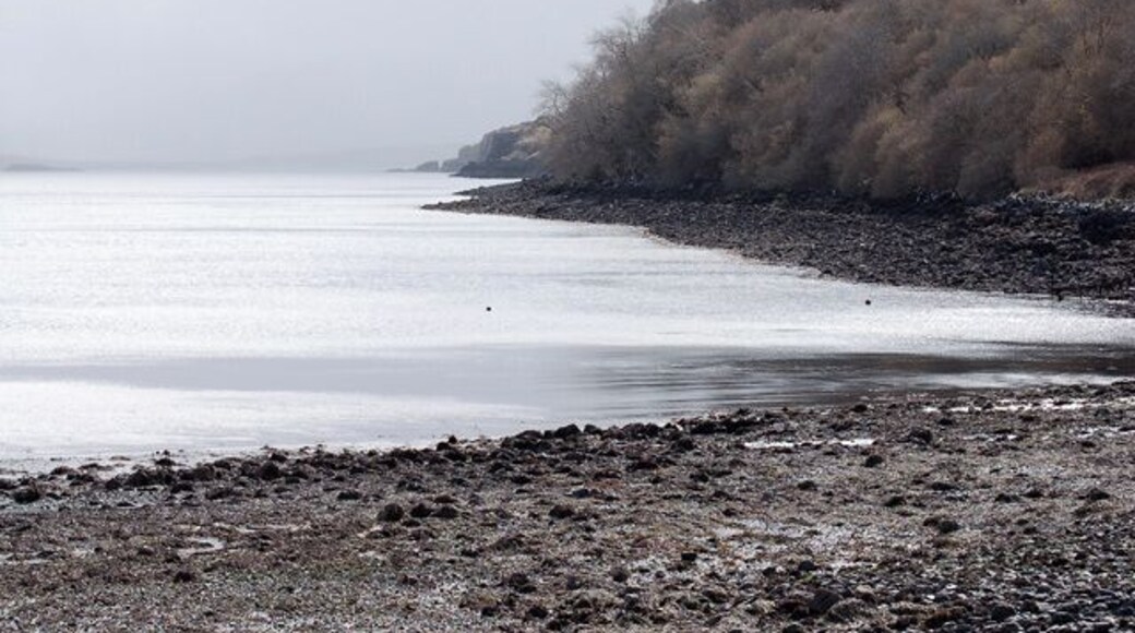 Coastline south of Camastianavaig With a big rain shower heading in from the Sound of Raasay.