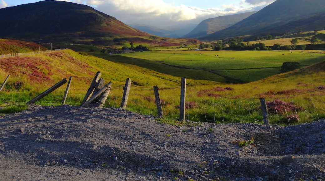 Auchallater on summer