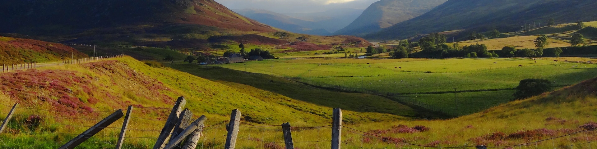 Auchallater on summer