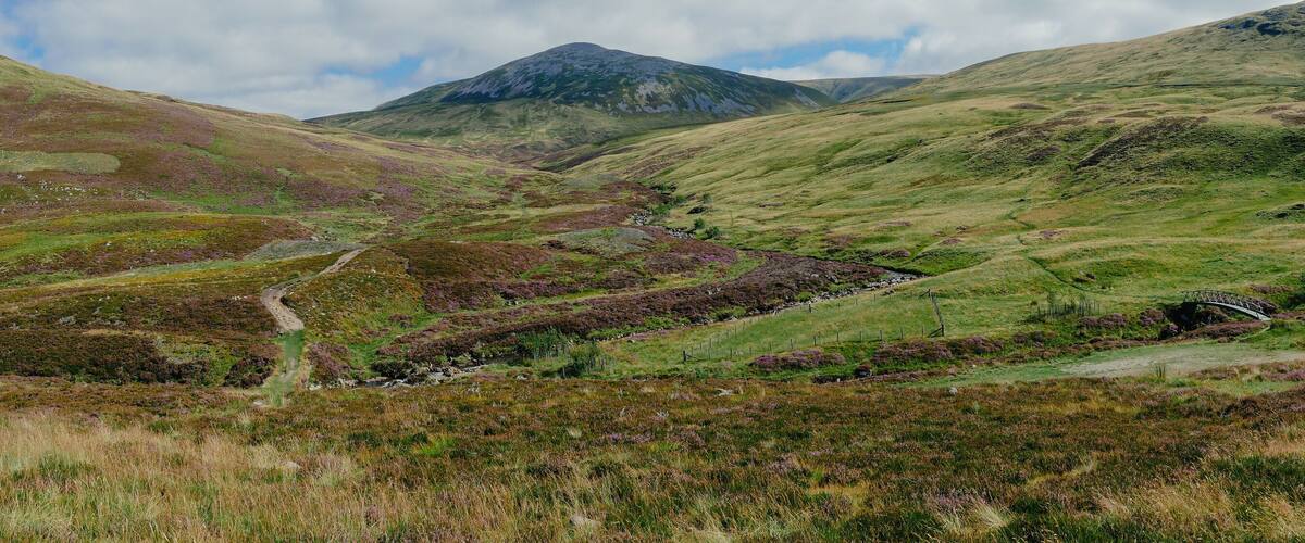 A mountainous landscape with a winding path, a small stream, and a bridge.