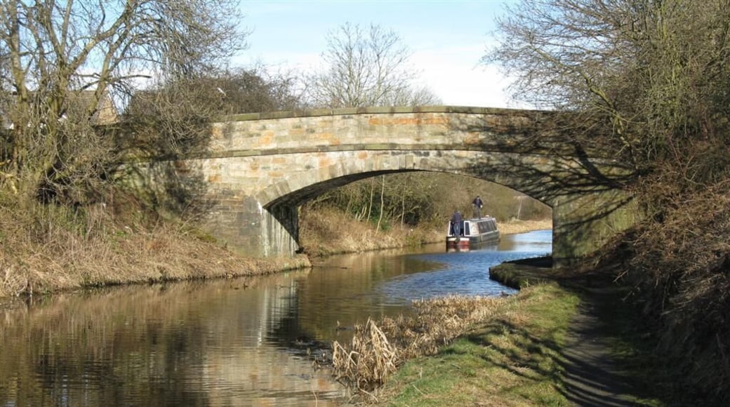 The Union Canal Looking north, heading west, at Broxburn.