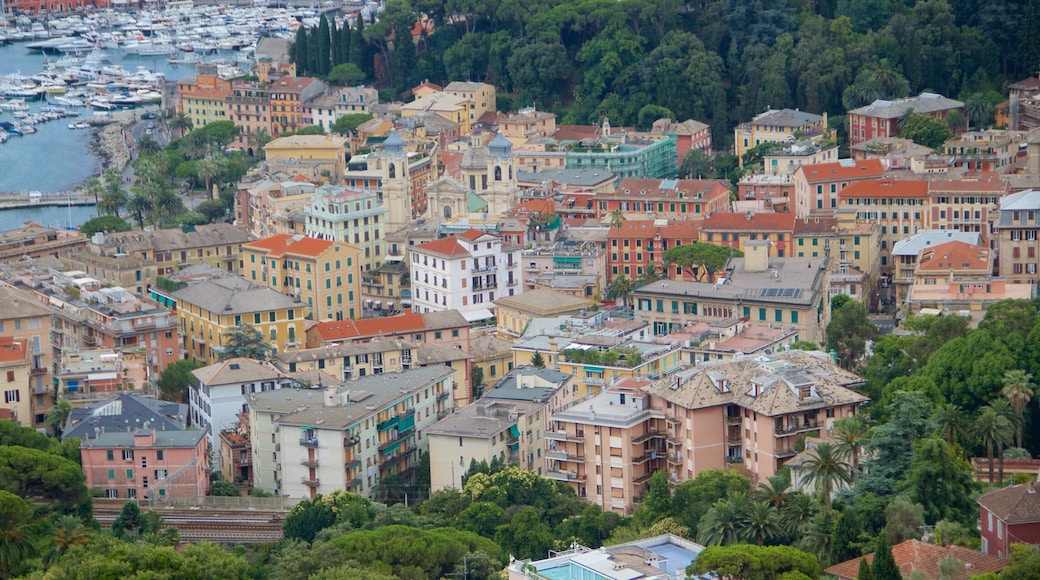 Portofino showing general coastal views, a coastal town and a city