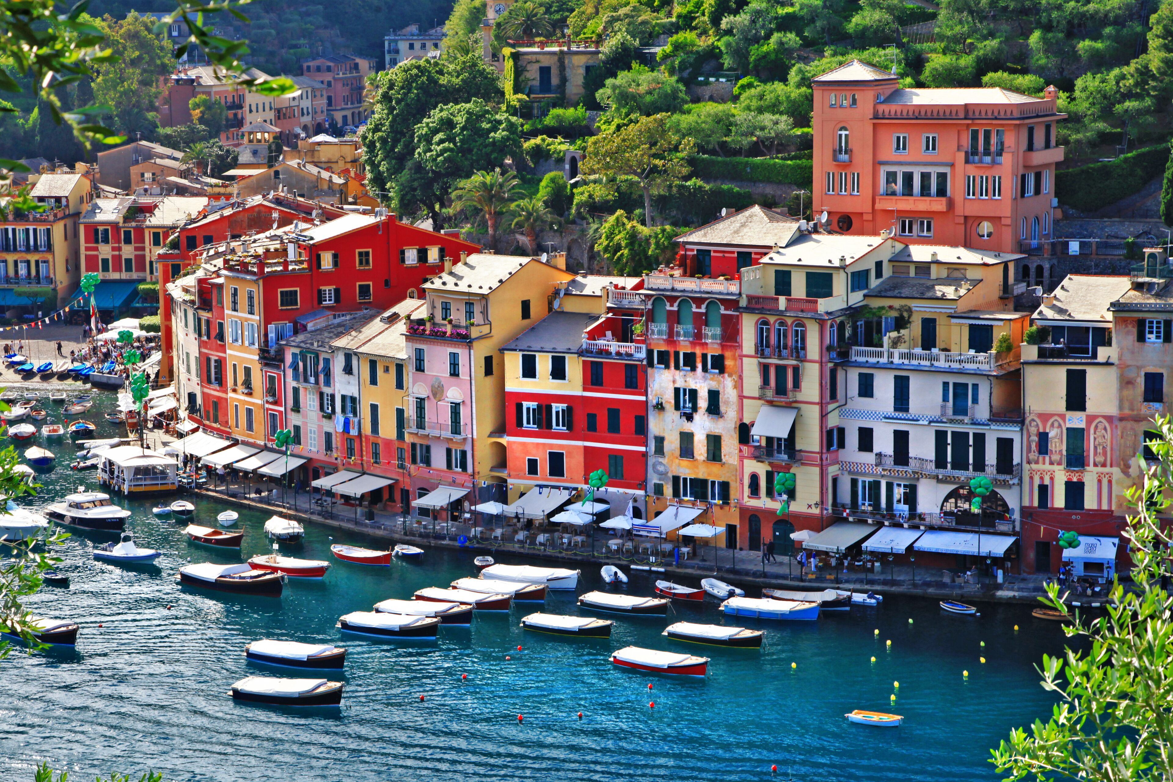 Portofino harbor aerial view from Castello Brown. Colorful houses and boats. Liguria Italian Riviera. Emerald sea water. Iconic scenic panorama. wall art print