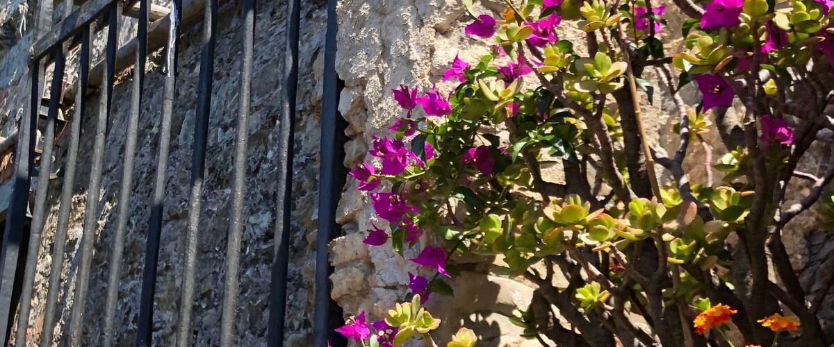 Enchanting entrance into the castle.