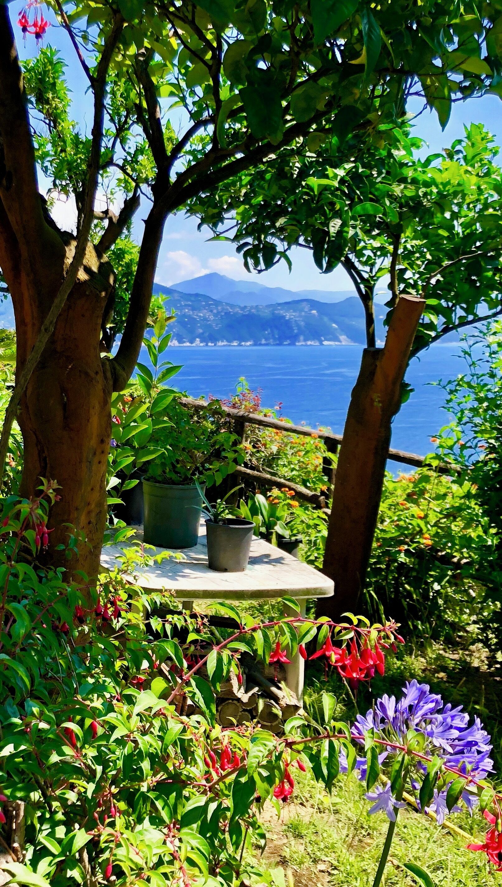 Walking the cobblestone path from Castello Brown back down to Portofino.  There were so many picturesque spots to stop along the way.  #AboveItAll