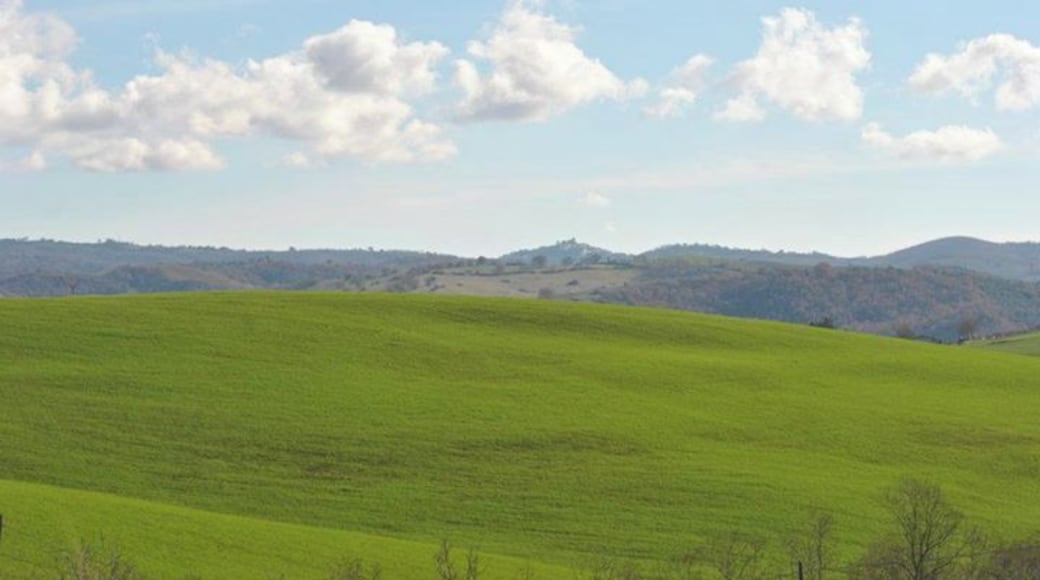 Lush green hills of Tuscany.