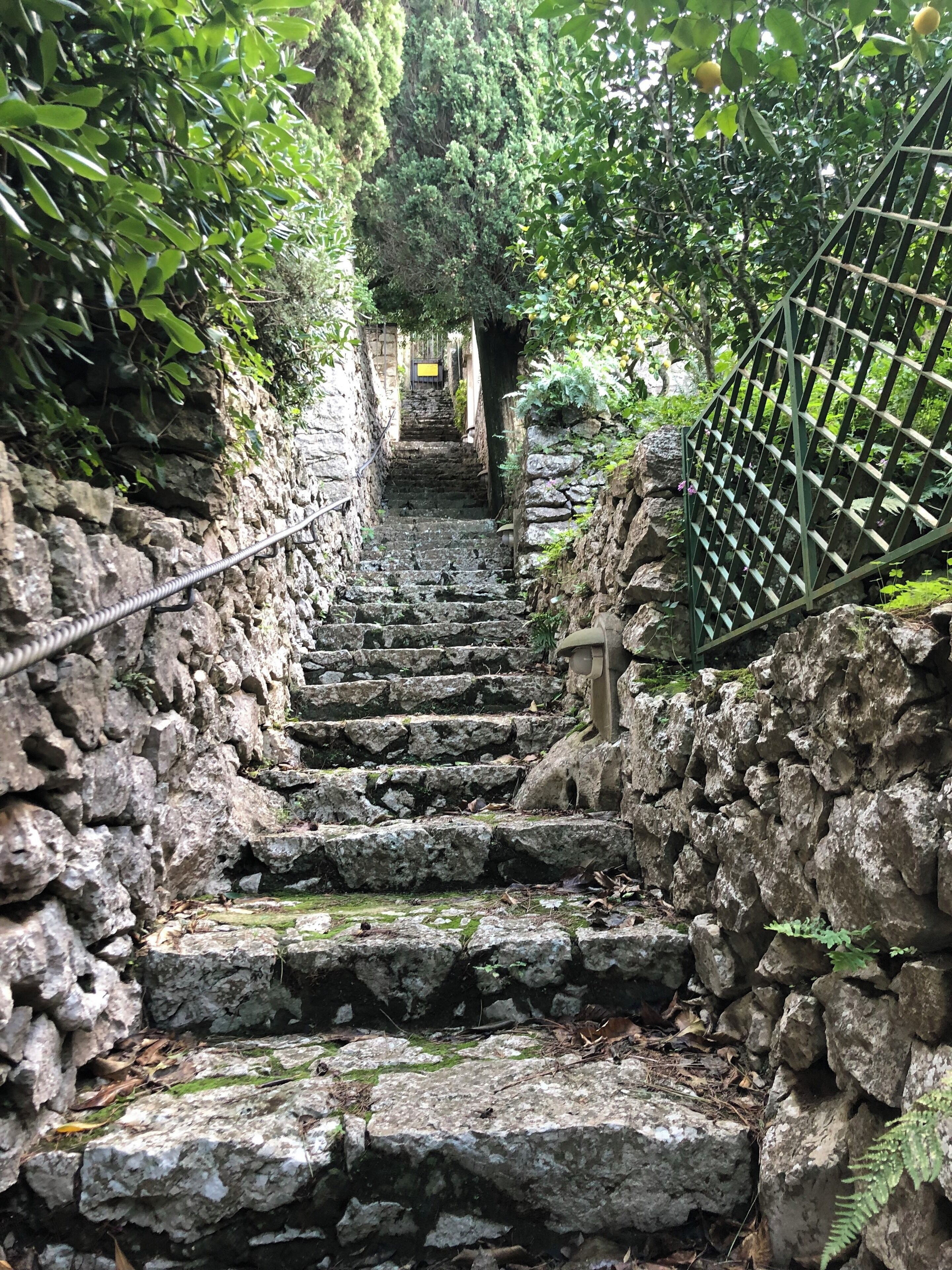 A beautiful garden in Anacapri. 
#Culture #Italy