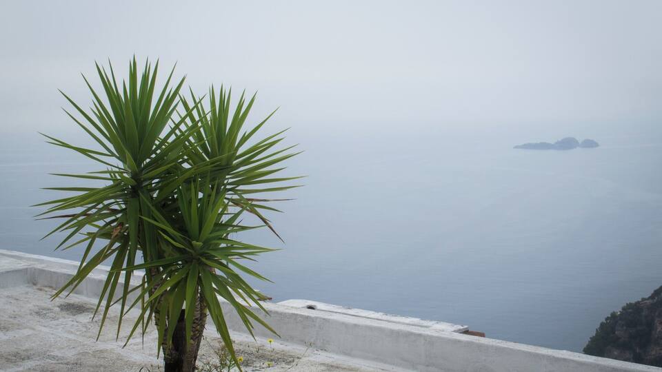 A coastal landscape with a palm tree in the foreground and a distant view of islands.
