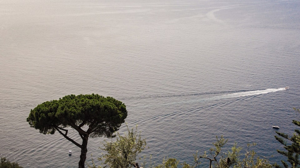 Walking down to the beach from my apartment was quite a trek, but views like this make it all worth it!
#BVStrove