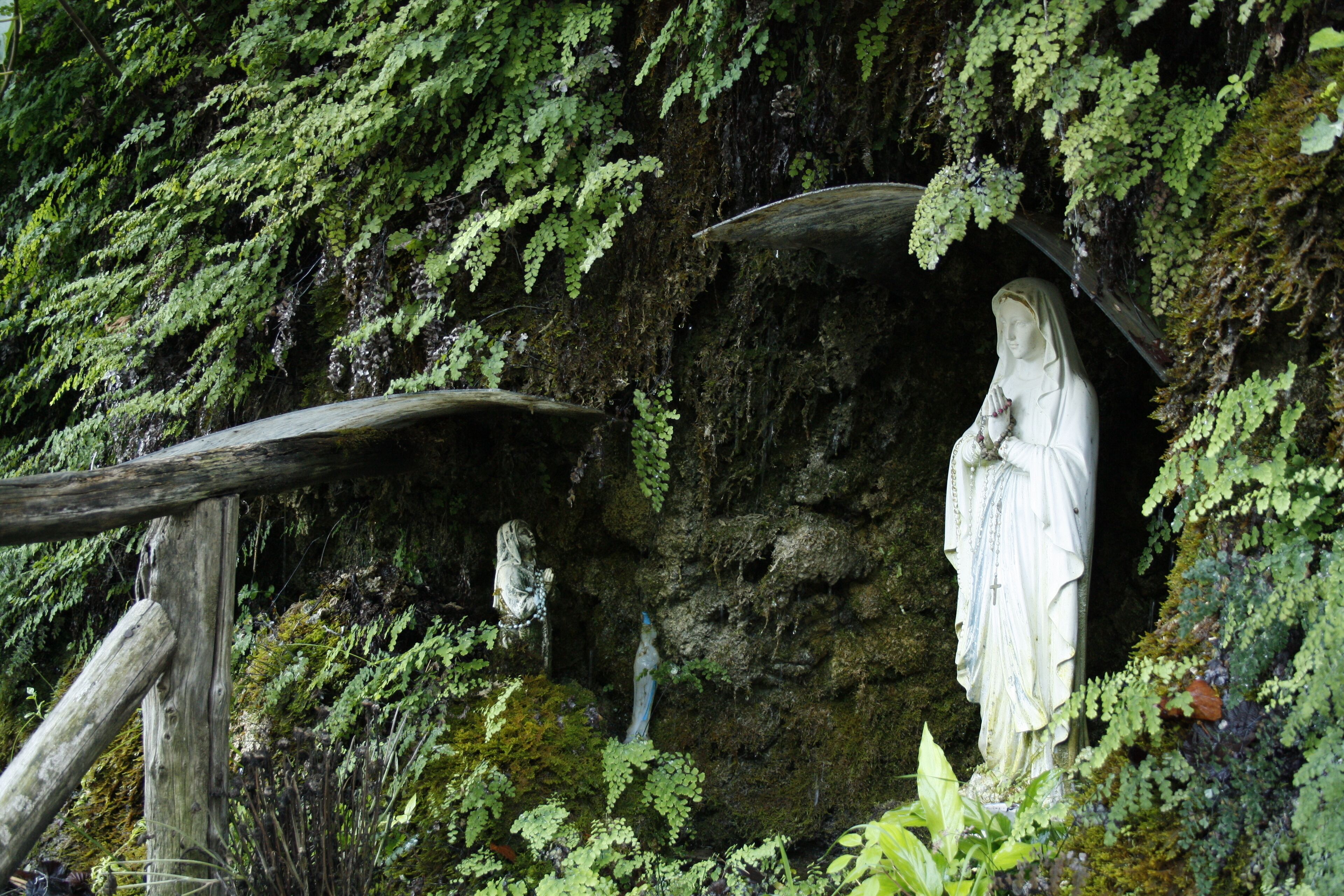 The authorisation for taking photos of this object was provided by the World Wide Fund for Nature Italy.