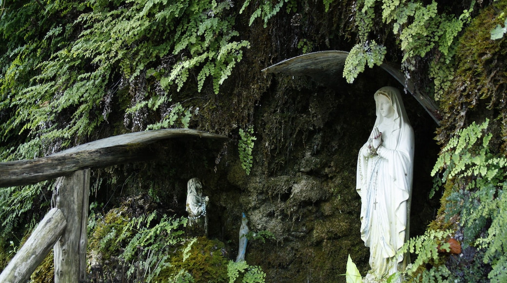 The authorisation for taking photos of this object was provided by the World Wide Fund for Nature Italy.