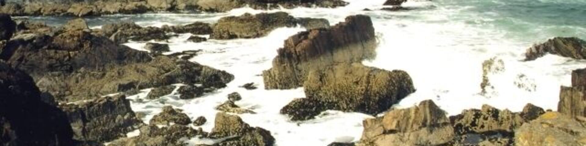 Portsoy. Rocky bays west of the harbour at Portsoy. The stacks of greenish-grey rock in the middle distance are part of the 'Portsoy Marble' outcrop, widely used for decorative purposes. It isn't in fact a marble at all; it is serpentinite.