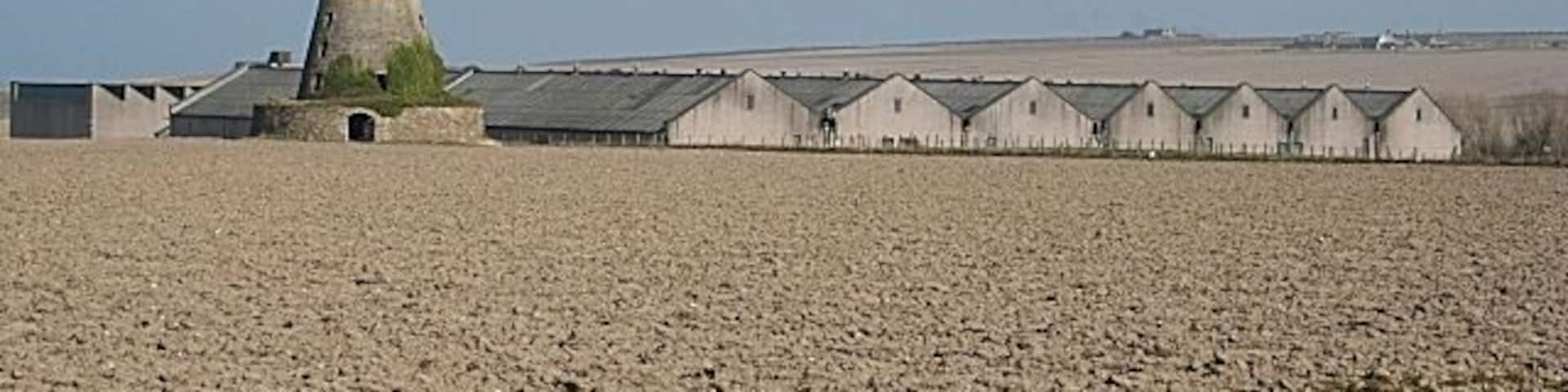 Glenglassaugh Distillery The roofs of the warehouses at Glenglassaugh. The curious tower to the left is the base of a windmill.